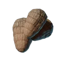 Taro cru
