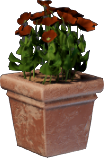 Pot à fleurs rouge (carré)