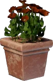 Pot à fleurs rouge (carré)