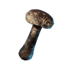 Champignon shiitake rôti