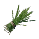 Rooibos