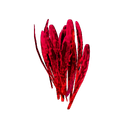 Safran
