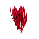 Safran