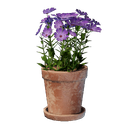 Petit pot de fleurs roses