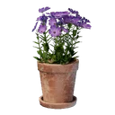 Petit pot de fleurs roses