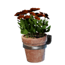Petit pot mural de fleurs rouges