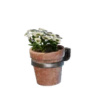 Petit pot mural de fleurs blanches