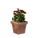 Pot carré de fleurs rouges