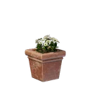 Pot carré de fleurs blanches