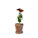 Petit pot de fleur rouge