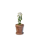 Petit pot de fleur blanc