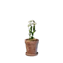 Petit pot de fleur blanc
