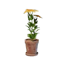 Petit pot de fleur jaune