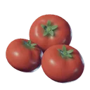 Tomate
