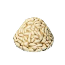 Grains de blé