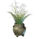 Pot de fleur de cymbidium blanc