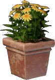 Pot de fleur jaune (carré)
