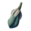 Fruit de yucca